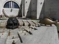 RIMG0734.jpg