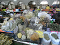 RIMG0759.jpg