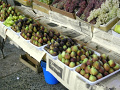 RIMG0762.jpg