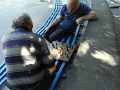 RIMG0778.jpg