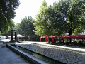 RIMG0779.jpg