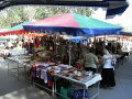 RIMG0782.jpg