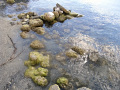 RIMG0787.jpg