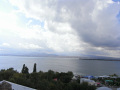 RIMG0789.jpg