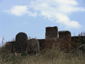 RIMG0801.jpg