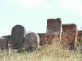 RIMG0802.jpg