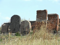 RIMG0803.jpg