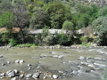 RIMG0829.jpg