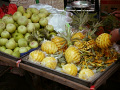 P1020157.jpg