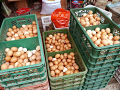 P1020165.jpg