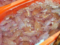 P1020191.jpg