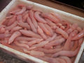 P1020195.jpg