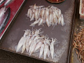 P1020196.jpg
