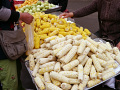 P1020198.jpg