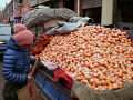 P1020199.jpg