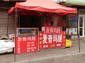 P1020200.jpg