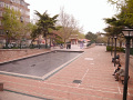 P1020208.jpg