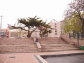 P1020209.jpg