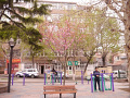 P1020210.jpg