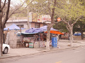 P1020214.jpg