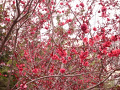P1020215.jpg