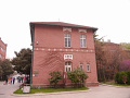 P1020223.jpg
