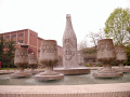 P1020224.jpg