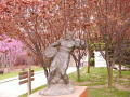 P1020227.jpg