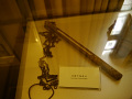 P1020236.jpg