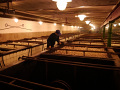 P1020269.jpg