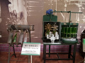 P1020285.jpg