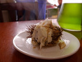 P1020296.jpg
