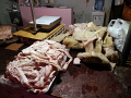 P1020305.jpg