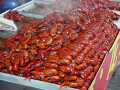 P1020315.jpg