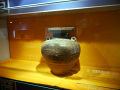 P1020342.jpg