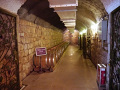 P1020346.jpg