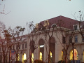 P1020352.jpg