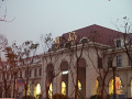 P1020353.jpg
