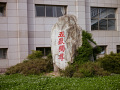 P1020385.jpg