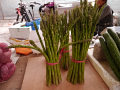P1020392.jpg
