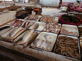 P1020395.jpg