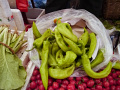 P1020396.jpg