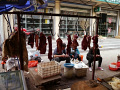 P1020398.jpg