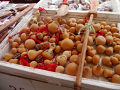 P1020400.jpg