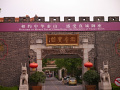 P1020416.jpg