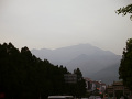 P1020422.jpg