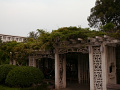 P1020424.jpg