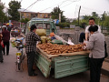 P1020428.jpg