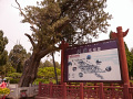 P1020452.jpg
