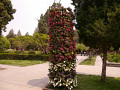 P1020453.jpg